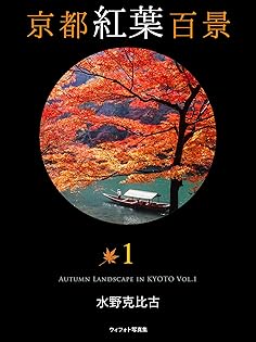 Amazon.co.jp: 水野 克比古: 本、バイオグラフィー、最新
